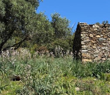 Pietracorbara House | La corse entre plage et rivière