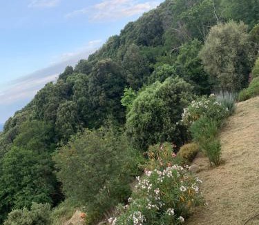 Cognocoli-Monticchi Bed & Breakfast | La Maison de la Fontaine
