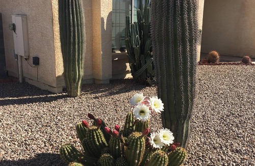 Arizona City House | Lake Front 4 Bedroom Snowbird Favorite- Close to Golf, Pickle Ball & Skydiving!