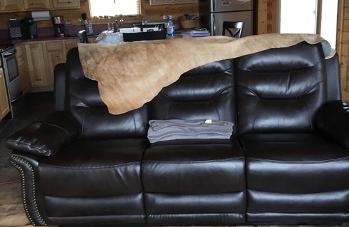 Mammoth Creek Cabin | Lake view log cabin , near lake, general store Pet friendly