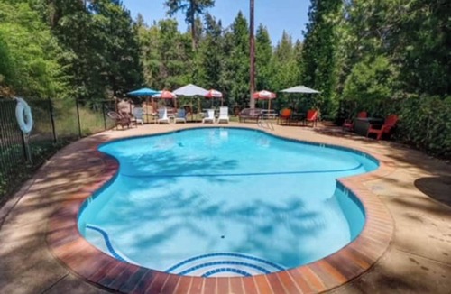 Cedar Ridge Cabin | Lakeview Country Cabin ~ Studio King Bed w/Futon