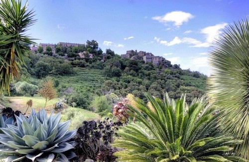 Penta-di-Casinca House | Le 58792 - PENTA DI CASINCA