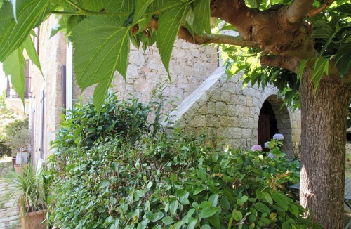 Casaglione House | LE CEDRAT TROIS - CASAGLIONE