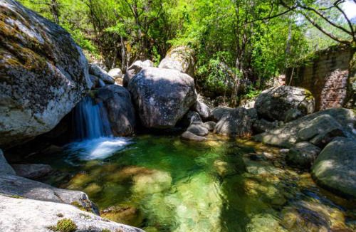Favone House | Les Jardins d'Eve, Solenzara, townhouse with private pool
