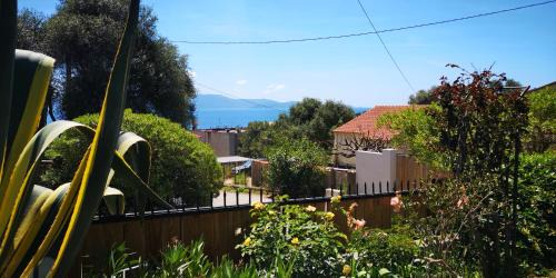 Porto Pollo Apartment | Les jardins de Porto Pollo