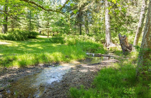 Columbia Falls House | Living in the Past Log Home - Mins From Glacier!