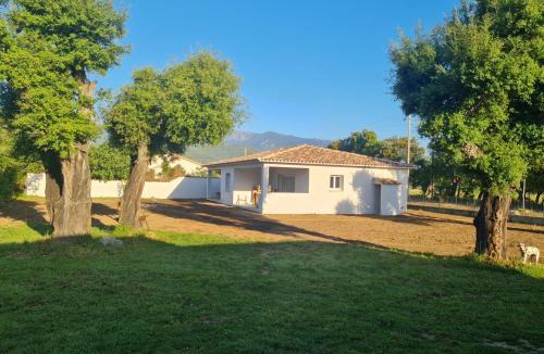 Morta Apartment | Location "Casa Monna"