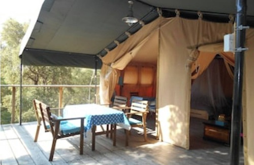 Pinarellu Cabin | Lodge l'Immortelle