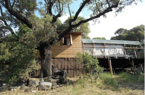 Pinarellu Cabin | Lodge l'Immortelle