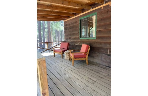 Alpine Apartment | Luxe cabin getaway in the tall pines of Alpine AZ