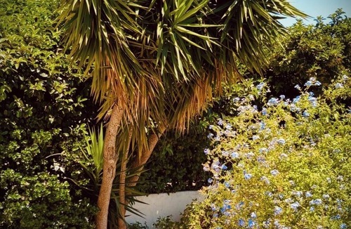Biguglia Villa | Maison Avec Situation Idéale Pour Visiter la Haute-corse