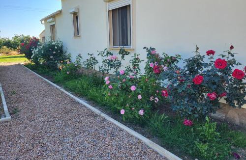 Linguizzetta Apartment | Maison jumelée clôturée