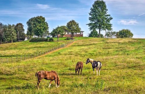 Mammoth Cave Apartment | Mammoth Cave Rental on 50 Acres: Shared Amenities