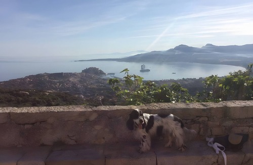 Calvi Apartment | Modern T3 Apartment in Calvi with Terrace – Available from August 22, Discounted Rates