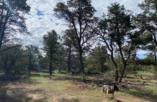 Quemado RV Rental | Mountain-view Adventure
