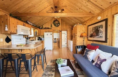 Island Park House | Mountain Views | Fire Pit | little bear cabin