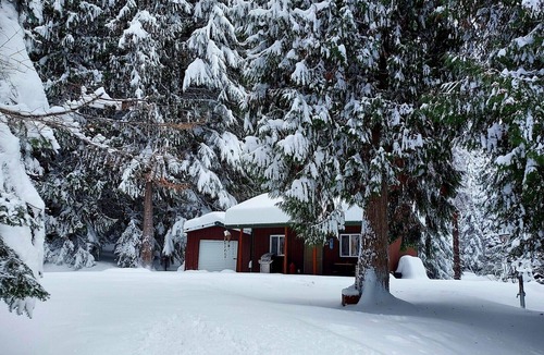 Troy Cabin | Nature Lover's Dream. Tiny Cabin with Grand Serenity.