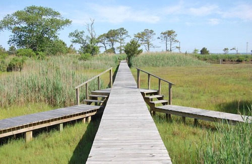 Chincoteague House | Nature's Retreat- Waterview with Shared Crabbing Pier