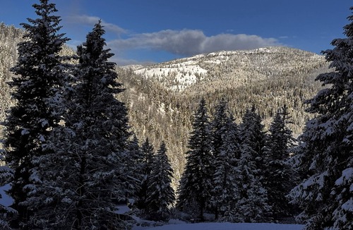 Libby House | New 2-bedroom house on beautiful Quartz Mountain in Libby