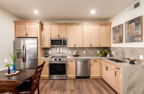 Fountain Hills Apartment | *New* Luxe Apartment 1 Bed/1 Bath - Fountain Hills