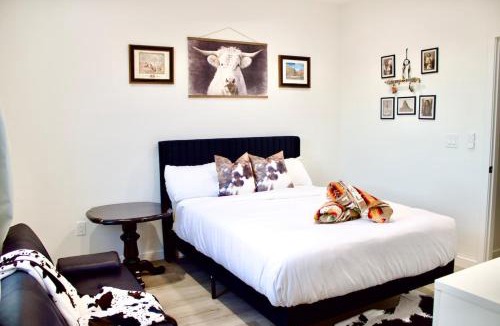 Greenehaven House | New SW Inspired Home, 9 Guests, Tesla Ready, Pet Friendly