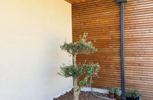 Ghisonaccia House | New villa with pool