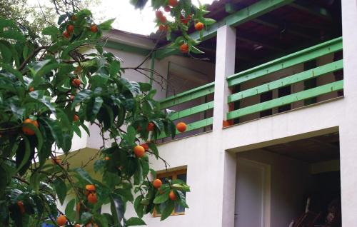 Sagone Apartment | Nice Apartment In Sagone With Kitchen