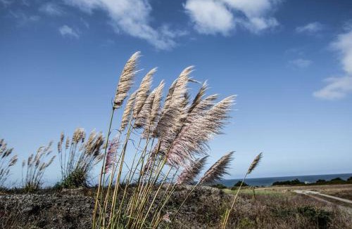 Pescadero House | Ocean View Cottage