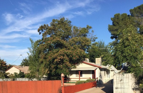 Cottonwood Cottage | Old Town Cottonwood Cottage