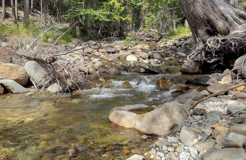 Bonners Ferry House | One Small Rv Space North of Bonners Ferry. 50 Amp, Water, Sewer. Ask about pets