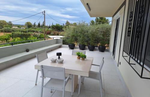 Bouzaiika House | Orange Tree