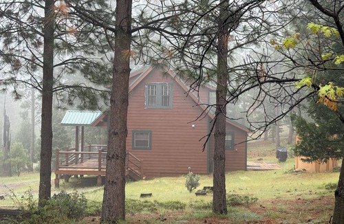 Foresta Cabin | Owl Moon Cabin - Rare jewel of a cabin located inside Yosemite National Park