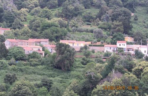 Peri House | Peri village