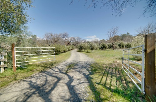 Wilbur Springs House | Pet-Friendly Clearlake Oaks Vacation Home w/Pool!