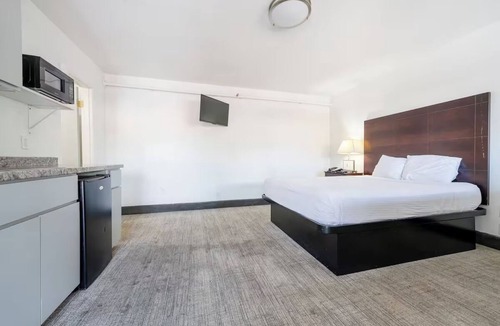 Hollywood District Hotel | Pet-Friendly Queen Room with Essentials Near Restaurants + Free Parking