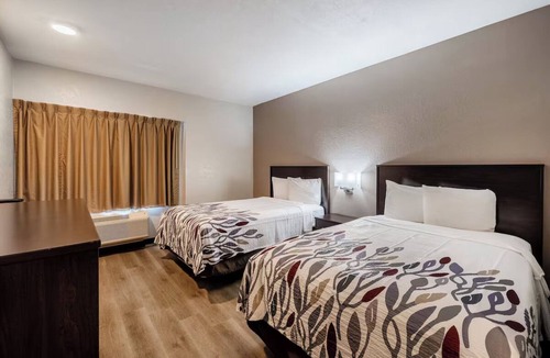 Cortaro Hotel | Pet-friendly Room with Relaxing Ambiance & Near Top Tucson Attractions