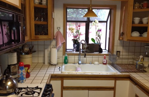 Blenman-Elm House | Private bedroom and bath across from the U of A and TMC. Hot tub & BBQ
