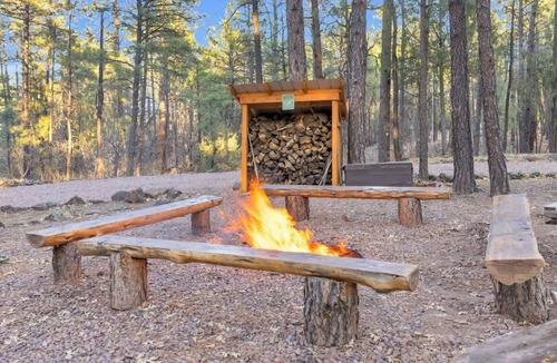 Show Low Cabin | Pvt Pickleball- Hot Tub-Game Rm-Playground