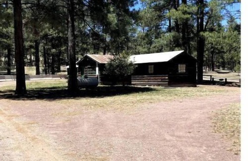 Alpine Cabin | Quaint Country Cabin in the tall pines AlpineAZ #2
