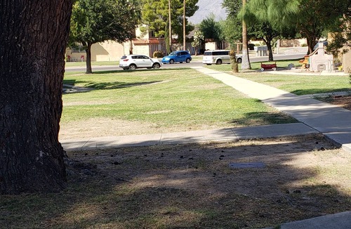Tucson House | Quaint Townhouse, Great location close to the beautiful Catalina Mountains.