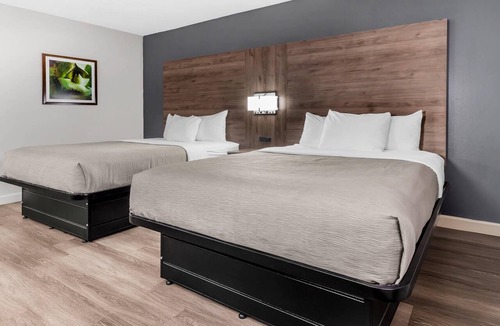 Morrisville Hotel | Quality Inn & Suites Raleigh Durham Airport