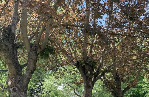 Latah Valley Apartment | Quiet Haven in Historic Neighborhood