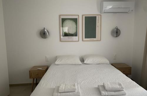 Cauro Apartment | Résidence Casa Olea - Studio - T2 - T3