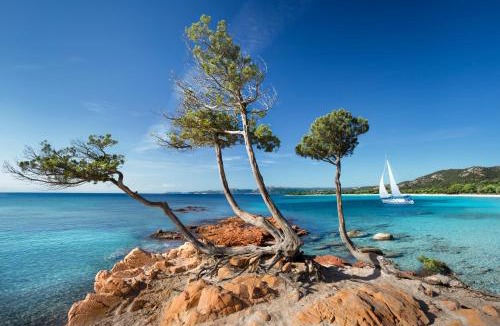 Hameau de Palombaggia Resort | Résidence Les Lièges de Palombaggia
