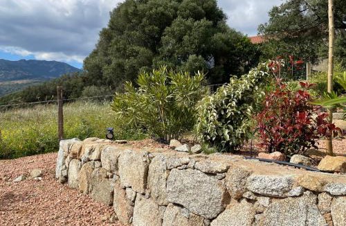 Figari House | Résidence Patios di Pruno T2