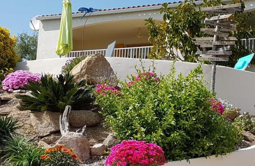 Casaglione Apartment | Résidence U MELU Grand T2 VERT à l'étage
