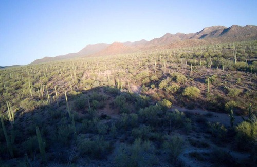 Picture Rocks House | R&R in Saguaro Natl Park