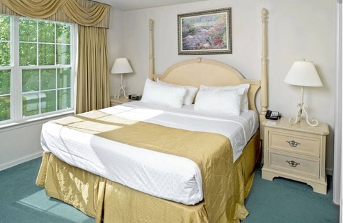 Berkeley Hotel | Relax, Explore & Unwind in This Inviting Family Getaway l Outdoor & Indoor Pools