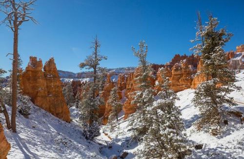 Zion National Park East Entrance House | Remodeled Cabin 7 Miles from Zions National Park