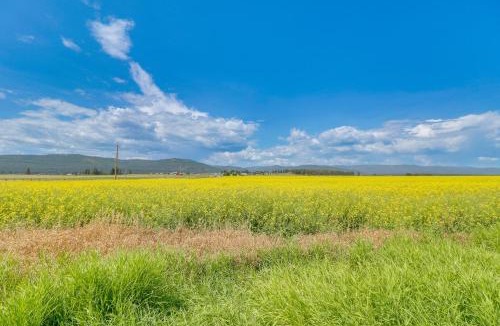 Kalispell House | Remodeled Kalispell Farmhouse w/Mountain Views